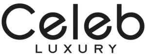 logo_video